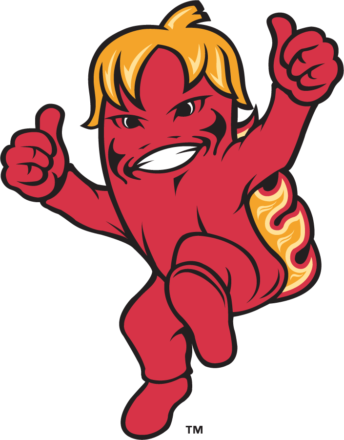 Louisiana Ragin Cajuns 2000-2006 Mascot Logo v4 DIY iron on transfer (heat transfer)